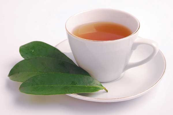 Hơn nữa, mãng cầu xiêm có đặc tính kháng khuẩn mạnh, vì vậy ăn nhiều sẽ bị tác dụng ngược làm tiêu diệt hết vi khuẩn có lợi trong đường tiêu hóa. Nếu như quá yêu thích loại quả này, bạn nên bổ sung chế độ ăn uống kèm men tiêu hóa và men vi sinh. Hãy ăn loại quả này dưới nhiều hình thức khác nhau như uống nước ép hoặc ăn trái cây tươi. Ngoài ra dùng lá, vỏ cây, rễ cây dùng làm trà uống để tận dụng hết tính ưu việt của nó.