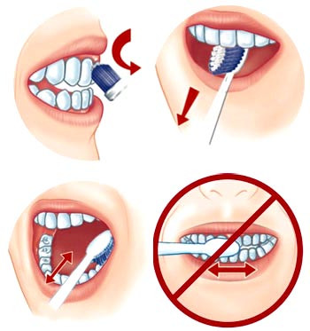 Đánh răng theo góc 45 độ. Đối với người lớn, các vấn đề về răng bắt đầu từ nướu. Do vậy, bạn phải chăm sóc bộ phận này kỹ càng. Nên để bàn chải gần nướu răng theo góc 45 độ và chuyển động xoay tròn thay vì đi theo một đường thẳng sẽ làm hỏng men răng.