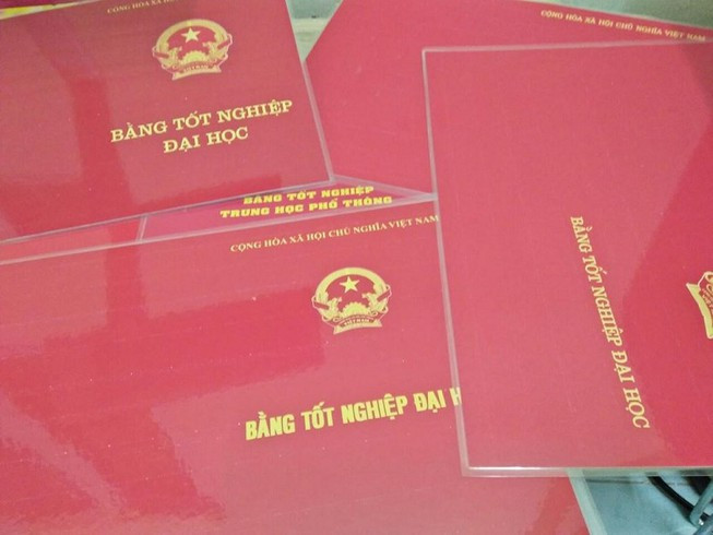 Ủy ban kiểm tra Thành ủy Biên Hòa đã xác định năm 2016 khi ông Minh được bổ nhiệm chức vụ chủ tịch UBND xã Hóa An nhưng hồ sơ bổ nhiệm không có bằng THPT và bằng đại học. Đến đầu năm 2020, khi làm công tác nhân sự chuẩn bị cho Đại hội đảng bộ phường, ông Minh cung cấp 2 bằng cấp nói trên nhưng thời điểm cấp bằng THPT... có sau thời điểm cấp bằng đại học.