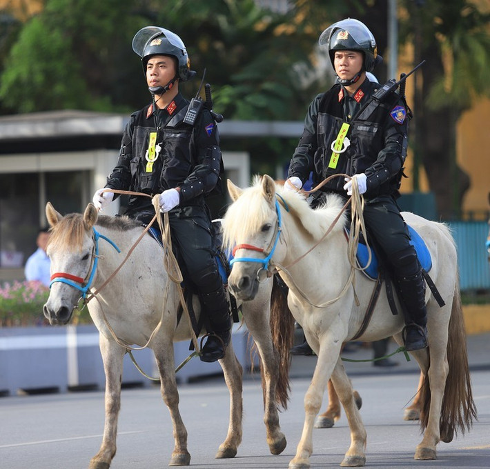 Theo thuyết minh, giống ngựa được Bộ Công an lựa chọn có sức khỏe tốt, khả năng thích nghi cao với điều kiện khắc nghiệt. Sự dẻo dai, ngoại hình của ngựa phù hợp với việc tuần tra, kiểm soát và xử lý các tình huống biểu tình, bạo loạn... Tính tới nay, lực lượng chức năng đã nhân giống được bốn ngựa con, trọng lượng sơ sinh từ 23-28 kg, tăng tổng số đàn ngựa lên 100 con.