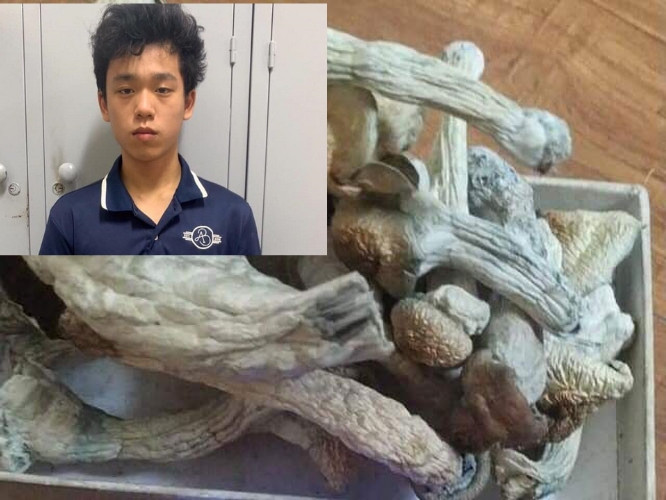 7. Xuất hiện ma túy nấm: Công an quận Cầu Giấy (Hà Nội) đã tạm giữ hình sự đối tượng Nguyễn Trần Tuấn Phương (SN 2001; trú tại Đống Đa) vì mua bán trái phép chất ma tuý. Tang vật thu giữ là 1 túi nilon chứa nhiều cây nấm khô. Đối tượng khai nhận đây là "nấm thức thần" có chứa chất "Psilocybine", một chất ma túy gây ảo giác. Hắn còn trồng và nhân giống để bán ra thị trường.