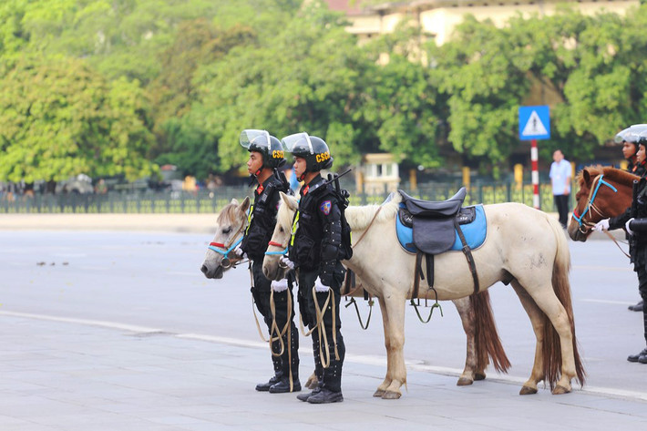 Từ khi thành lập, Đoàn Cảnh sát cơ động Kỵ binh được đánh giá đã bước đầu hoàn thành các các nhiệm vụ được giao.