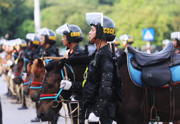 Đến nay, các cán bộ, chiến sĩ đã nắm chắc kỹ thuật cơ bản, thực hành công tác thuần hóa ngựa cũng như kỹ năng nâng cao. >>> Xem thêm video: Cảnh sát cơ động kỵ binh diễu hành