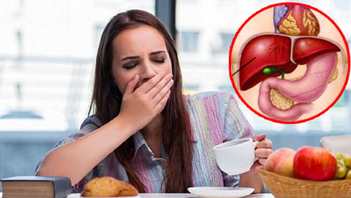 Bỏ bữa sáng. Gan cần năng lượng để khử độc và chuyển hóa các chất độc hại. Nhịn ăn sáng thường xuyên khiến gan không đủ năng lượng để thực hiện các vai trò của mình. Lúc này, cơ thể sẽ huy động glycogen ở gan. Hoạt tính của insulin trong cơ thể lúc này sẽ tăng cao. Cơ thể không có đủ thức ăn để cung cấp cho quá trình trao đổi chất sẽ làm tăng gánh nặng cho gan. Lâu dần gan bị quá tải, xuất hiện những bất thường.