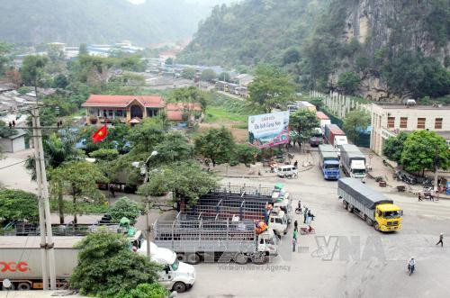 8. Quảng Ngãi thu mua hơn 10 tấn dưa hỗ trợ bà con với giá 2000 đồng/kg Tỉnh đoàn Quảng Ngãi đã tiến hành thu mua hơn 10 tấn dưa các loại với giá 2000 đồng/kg, cao hơn gấp 3 lần mức giá thị trường hiện nay để hỗ trợ người trồng dưa ở các xã Tịnh Hà, Tịnh Hiệp, huyện Sơn Tịnh trước thực trạng người trồng dưa Quảng Ngãi liên tiếp lỗ nặng vì giá dưa rớt giá.
