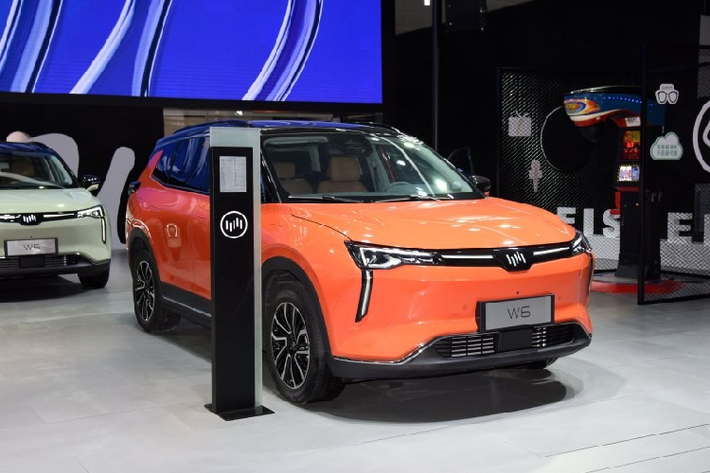 Weltmeister của Trung Quốc trực thuộc WM Motor. Đồng thời, đây là thương hiệu đang "nhăm nhe" gia nhập thị trường Đông Nam Á nói chung và Việt Nam nói riêng. Khi đến Việt Nam, Weltmeister có thể trở thành đối thủ của VinFast trong phân khúc xe điện. Tại triển lãm Ô tô Thiên Tân 2021 tại Trung Quốc, Weltmeister đã mang phiên bản mới của mẫu SUV cỡ trung W6 đến trưng bày và giới thiệu.