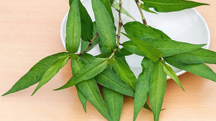 Ngoài rau kinh giới, thịt gà cũng kỵ rau dăm, khi kết hợp với nhau tạo nên chất có hại cho hệ tiêu hóa. Ảnh: dkn.