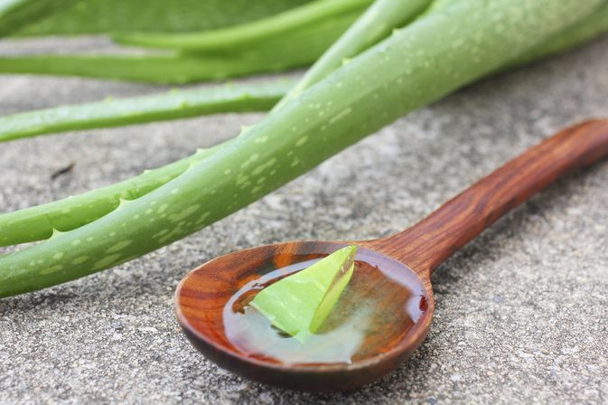 Cả dầu dừa và nha đam đều là hai nguyên liệu nổi tiếng trong việc cải thiện làn da, đồng thời bảo vệ da khỏi tác hại của ánh nắng mặt trời hiệu quả. Ảnh: kupastuntas.