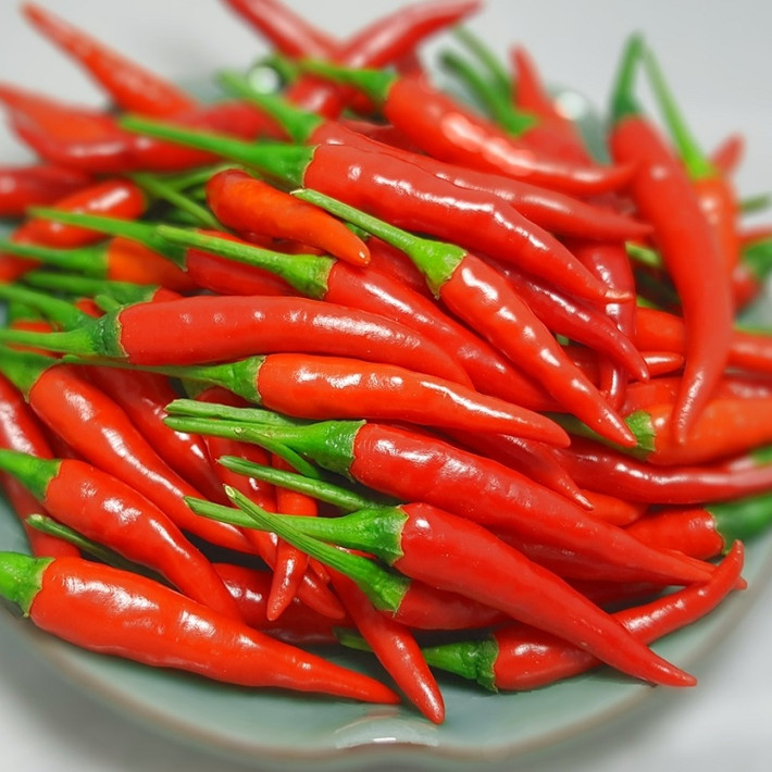 Ớt chứa capsaicin, một hợp chất giúp giảm đau. Ớt cho thấy kết quả khá tốt đối với việc điều trị đau do thần kinh sau khi phẫu thuật ung thư.
