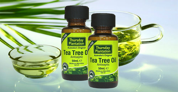 Bạn có thể thử sử dụng tinh dầu trà để xử lý vấn đề mụn trên lưng. Ngoài ra, bạn có thể tìm thấy nhiều loại kem, sữa rửa mặt và kem cũng có chứa thành phần này. Ảnh: thegioiphunu.