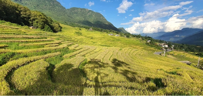 Với người dân vùng cao, đặc biệt là bà con dân tộc Mông, đất đai để canh tác rất quan trọng. Với những người họ hàng, họ có thể cho tặng nhau ruộng hoặc bán với giá rất rẻ để cùng nhau canh tác, có của ăn của để chứ không bán ra ngoài dù được trả giá cao hơn.