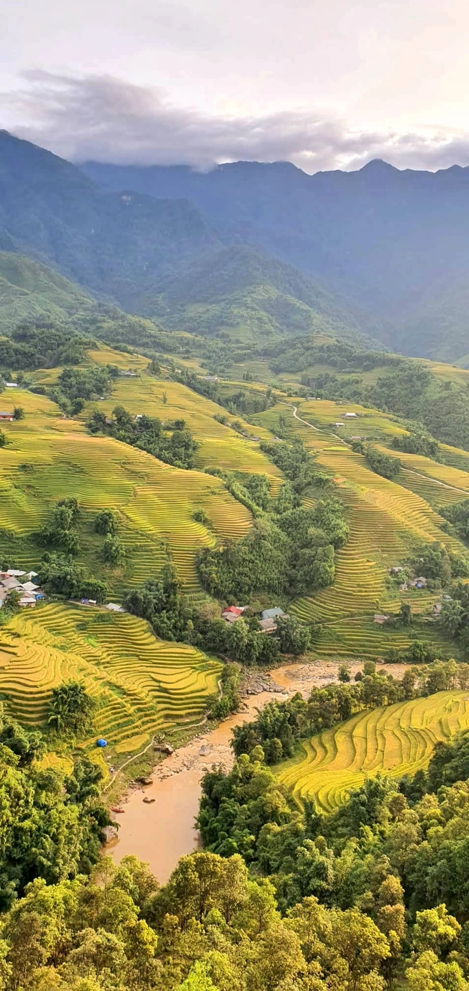 Ruộng bậc thang ở Sa Pa tạo nên một khung cảnh đẹp hút mắt giữa núi rừng hùng vĩ. Việc canh tác khó khăn không phải trở ngại đối với bà con vùng cao, nhưng do thời tiết nên mỗi năm ở đây, người dân chỉ có thể trồng một vụ lúa.
