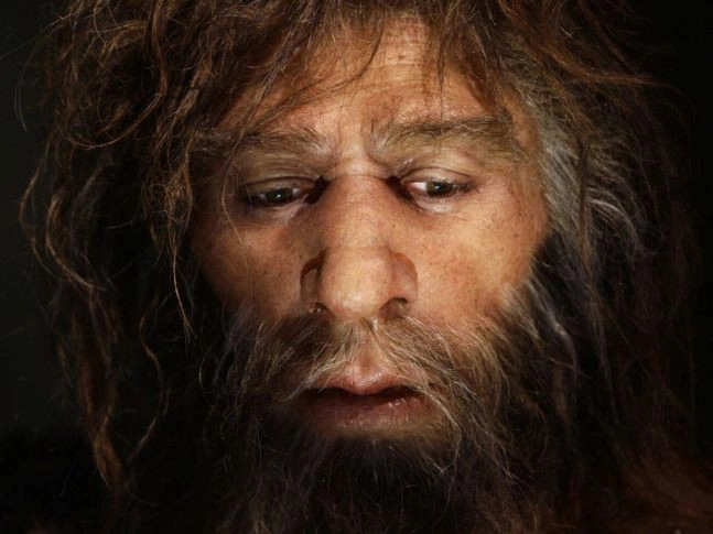 Nghiên cứu cho thấy người Denisovans đã đến với cao nguyên Tây Tạng từ 160.000 năm về trước và đã có tới 2 thời kỳ cộng đồng Denisovans lẫn cộng đồng Homo sapiens (tức loài người hiện đại chúng ta) có sự giao lưu, nảy sinh các cuộc hôn phối dị chủng.