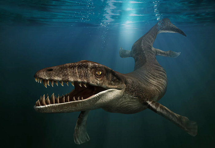 1. Cá sấu khổng lồ Dakosaurus: Sinh sống vào cuối kỷ Jura, loài cá sấu khổng lồ Dakosaurus được xem là một trong hai loài động vật săn mồi đáng sợ nhất lúc bấy giờ (loài còn lại chính là khủng long bạo chúa T-rex).