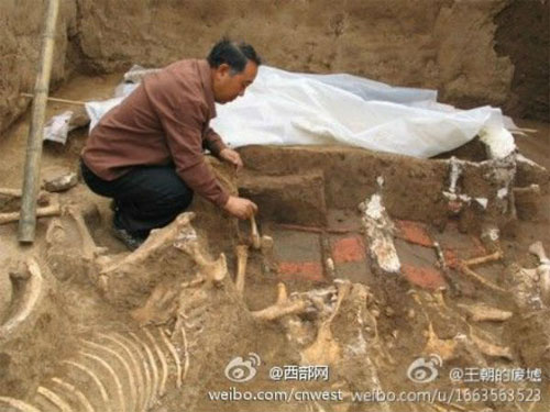 Thi thể sử dụng chất bảo quản ướp xác không được xử lý tốt đã biến thành xương trắng, cho thấy tình cảnh lúc bấy giờ thật sự rất thê thảm.