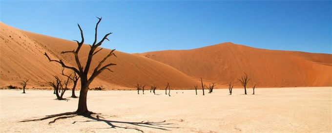 Hình ảnh những cây gai lạc đà héo khô trơ trọi tại Deadvlei, nghĩa địa cây khô giữa lòng sa mạc Namib, có lẽ đã quá quen thuộc với những người tìm hiểu về mảnh đất khô khan này.