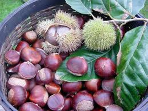 Magiê. Đóng vai trò quan trọng trong sản xuất phân tử năng lượng ATP. Cơ bắp cần năng lượng này để thư giãn, ngăn ngừa đột quỵ và đau tim. Nếu bạn lo lắng về mức magiê trong cơ thể, hãy bổ sung bằng các loại hạt như hạt dẻ, đậu lăng và rau lá xanh. Cũng có thể thêm muối Epsom vào phòng tắm để cơ thể hấp thu qua da.