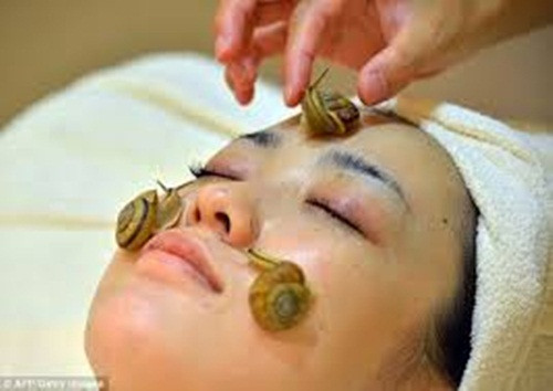 Nhà trị liệu sẽ đặt những con ốc sên trực tiếp lên mặt của các khách hàng và cho phép loài động vật thân mềm di chuyển tự do trên mặt, để lại chất nhầy trên da. Chất nhầy được cho là chứa các loại protein, chất chống ôxy hóa và axit hyaluronic giúp giữ ẩm, giảm chứng sưng viêm và loại bỏ da chết, nhờ đó làm đẹp da.
