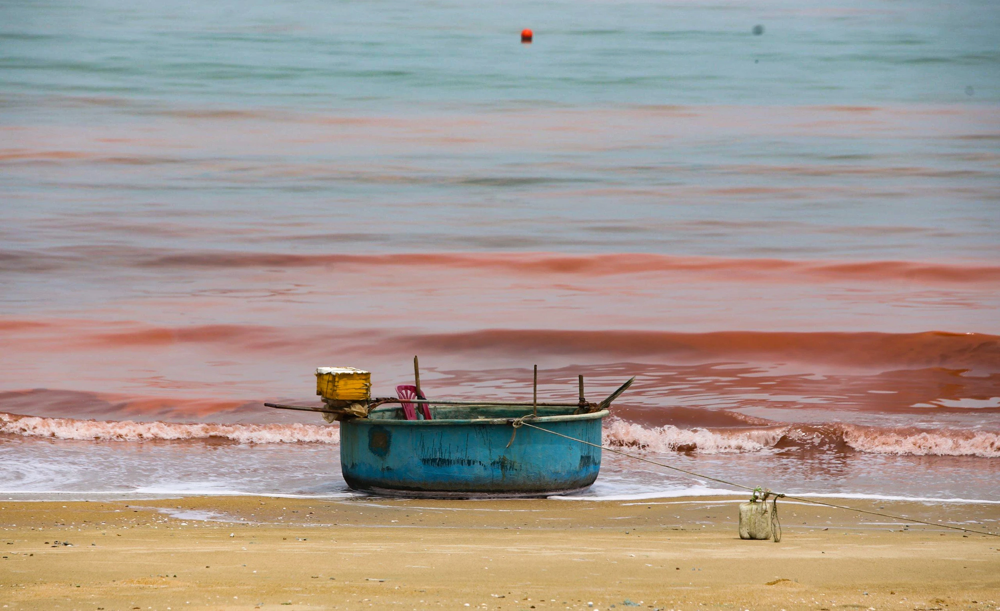 Nước biển ở Hà Tĩnh đổi màu bất thường, người dân lo lắng