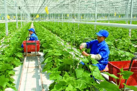 Đổi mới cơ chế khoa học công nghệ, thúc đẩy phát triển nông nghiệp xanh