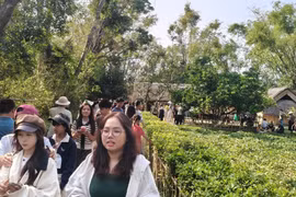 Giữa ngàn sắc xuân xứ Nghệ, dòng người vẫn tiếp tục về với Kim Liên, mang theo niềm tin, lòng biết ơn và ước vọng cho một năm mới bình an, thịnh vượng, nhắc nhớ về cội nguồn và trách nhiệm.