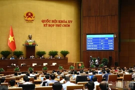 Cơ chế đặc biệt cho Chính phủ: Không hợp thức hoá sai phạm