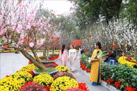 Mùng 5 Tết, miền Bắc tăng đến 26 độ, Đông Nam Bộ nắng nóng