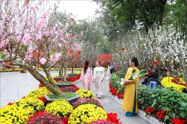 Mùng 5 Tết, miền Bắc tăng đến 26 độ, Đông Nam Bộ nắng nóng