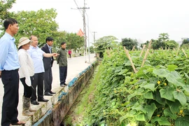 Đề nghị MTTQ Việt Nam giám sát việc thực hiện Nghị quyết 1796