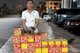 Khởi tố đối tượng buôn bán hơn 130kg pháo nổ do Trung Quốc sản xuất
