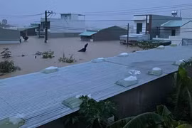 Mưa lớn kéo dài và nước từ thượng nguồn sông suối đổ về gây ngập lụt khắp nơi ở khu vực phía Đông tỉnh Đắk Lắk