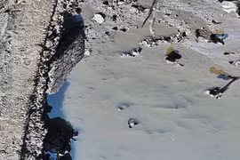 Phát hiện bộ xương người dưới lớp bùn góc ao cá ở Hải Phòng