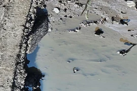 Phát hiện bộ xương người dưới lớp bùn góc ao cá ở Hải Phòng