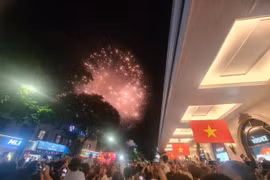 Người dân háo hức xem pháo hoa mừng Quốc khánh 2/9
