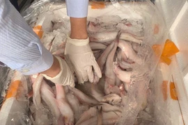 Cá khoai tẩm Formol nguy hại sức khỏe thế nào?