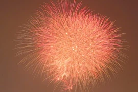 [LIVE] Pháo hoa rực sáng bầu trời chào đón năm mới Bính Ngọ 2026