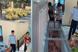 Giết mổ và bán thịt lợn dịch ra thị trường, 4 đối tượng bị tạm giữ hình sự