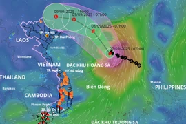 Bão số 7 ít dịch chuyển, có thể giật cực đại cấp 13