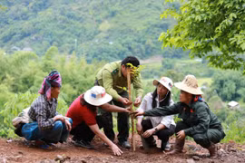 Lễ phát động trồng rừng hưởng ứng Ngày Quốc tế chống Sa mạc hóa và Hạn hán 17/6