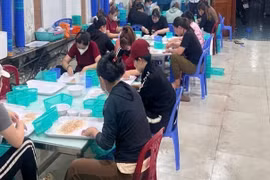 Thu giữ hơn 150.000 con tôm hùm giống không rõ nguồn gốc ở Khánh Hoà