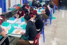 Thu giữ hơn 150.000 con tôm hùm giống không rõ nguồn gốc ở Khánh Hoà