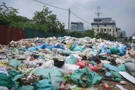 Hà Nội kiểm tra việc xử lý vệ sinh môi trường tại La Phù 