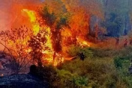 Nắng nóng vượt 40 độ C kéo dài nhiều ngày tới, nguy cơ cháy nổ cao