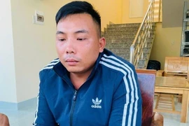 Bắt đối tượng thuê bóng đèn chong thanh long rồi mang đi bán