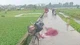 Người phụ nữ ở Hà Nội tử vong nghi bị sét đánh