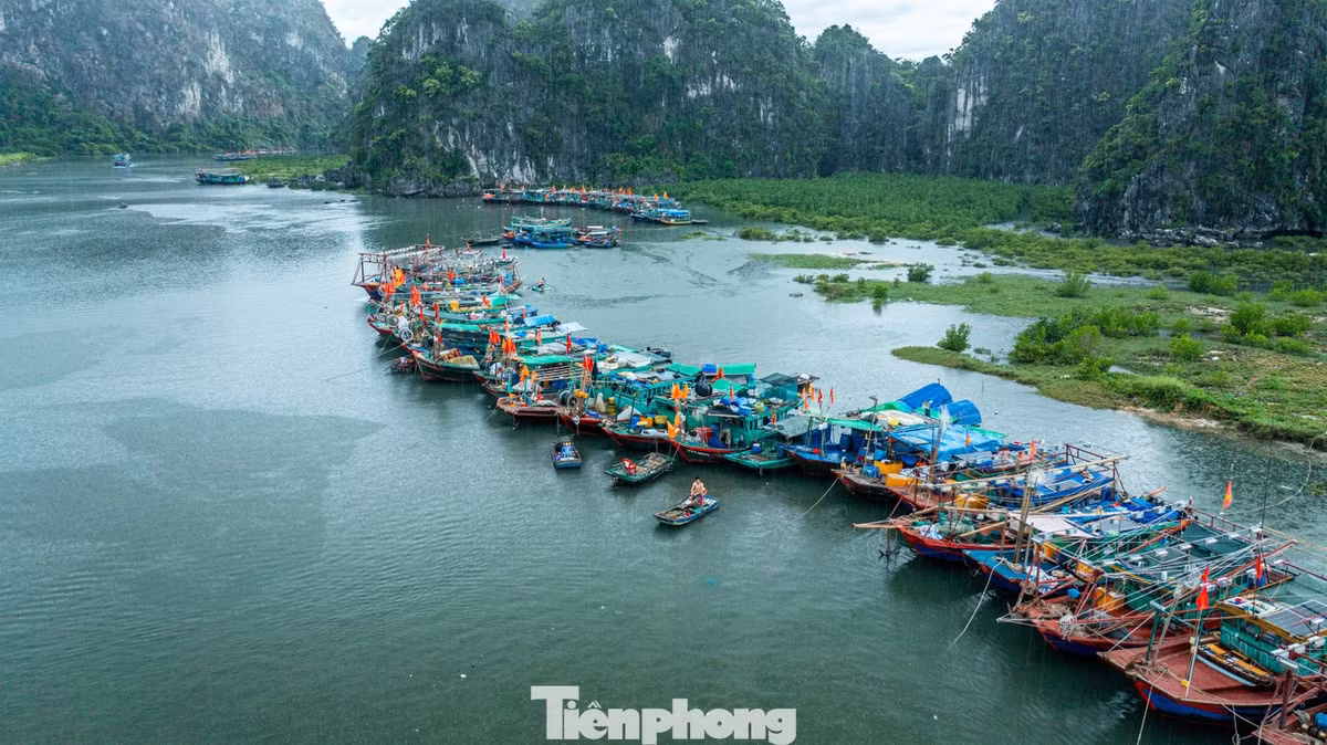 Đây là khu tránh trú lớn nhất của TP Hạ Long cũ nằm sâu trong các dãy núi giúp các thuyền nhỏ tránh bão an toàn.