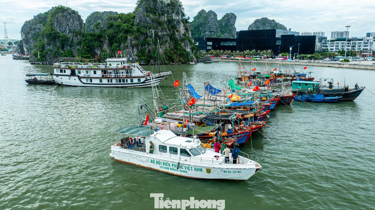 Trung tá Nguyễn Văn Hiệu, Phó Hải đội trưởng Hải đội biên phòng 2, Bộ đội biên phòng tỉnh Quảng Ninh, cho biết: Để đảm bảo an toàn cho người dân và phương tiện, chúng tôi bố trí 100% quân số trực, huy động 7 tàu, 5 xuồng cùng duy trì 2 tổ công tác thường xuyên làm nhiệm vụ. Các tổ công tác trực tiếp đến từng khu vực, có tàu thuyền neo đậu để kêu gọi, hướng dẫn tàu thuyền khẩn trương vào khu neo đậu an toàn. Đảm bảo đầy đủ trang thiết bị tìm kiếm cứu hộ cứu nạn. Đồng thời, thực hiện nghiêm việc duy trì liên lạc thông qua hệ thống thông tin điện đàm trên tàu để xử lý khi có tình huống xảy ra.