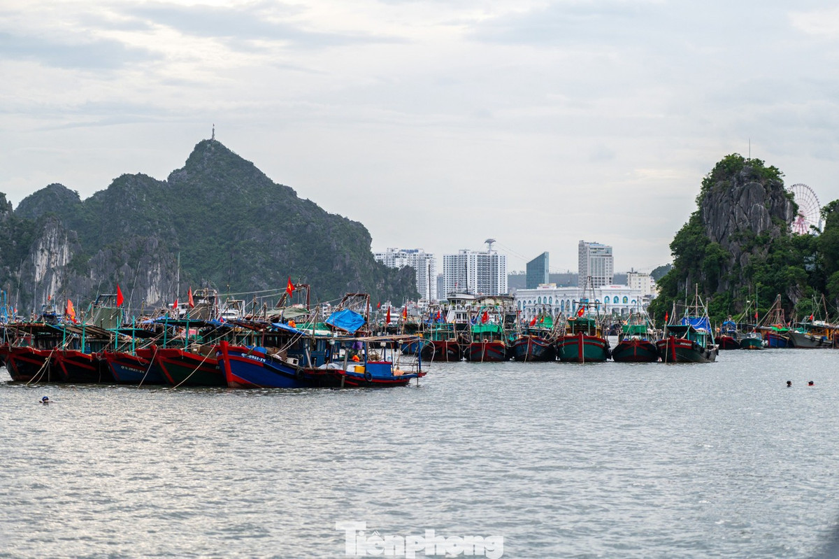 Ông Bùi Viết Hồi, chủ tàu QN 90486 TS, cho biết nhờ sự tuyên truyền, hướng dẫn kịp thời của Bộ đội Biên phòng, ông đã chủ động đưa tàu thuyền vào neo đậu an toàn tại khu vực tránh trú bão cột 3 (phường Hạ Long). Đồng thời, thực hiện chằng néo chắc chắn và chuẩn bị đầy đủ nhu yếu phẩm để ứng phó với bão số 5. Chúng tôi rất yên tâm khi có lực lượng bộ đội biên phòng luôn sát cánh hỗ trợ kịp thời để đảm bảo an toàn tính mạng và tài sản.