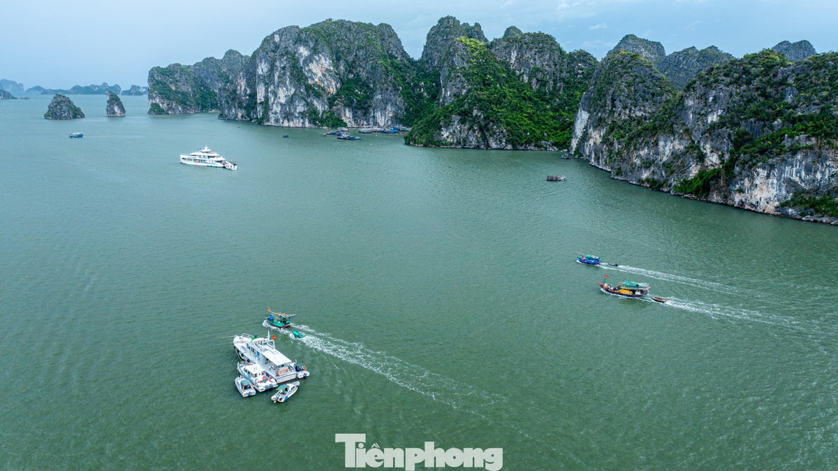 Sau khi có thông báo, toàn bộ các tàu thuyền đang hoạt động trên biển đều nhanh chóng di chuyển vào khu vực gần bờ để tránh trú bão.