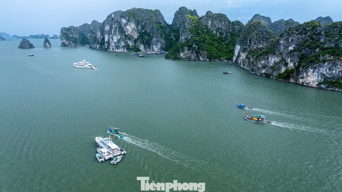 Sau khi có thông báo, toàn bộ các tàu thuyền đang hoạt động trên biển đều nhanh chóng di chuyển vào khu vực gần bờ để tránh trú bão.